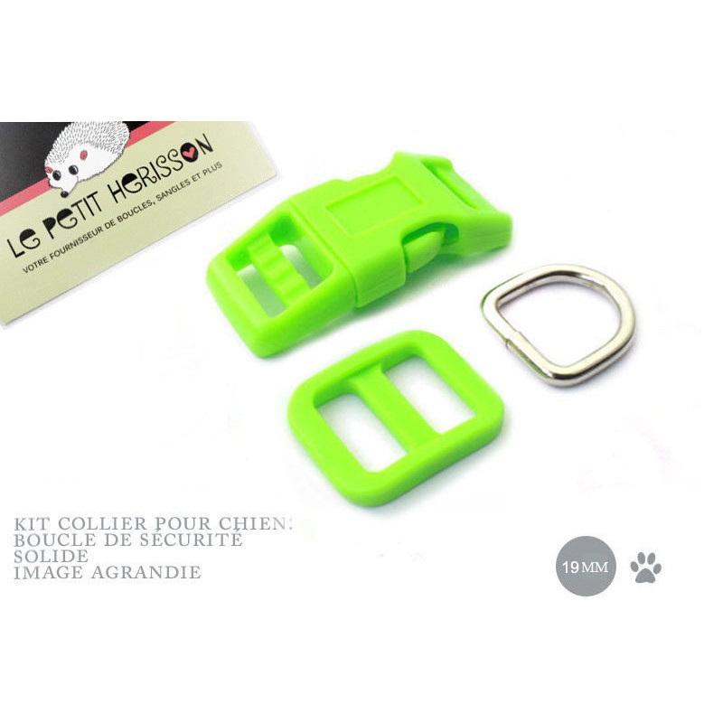 Kit Collier Pour Chien: 19mm / haute qualité / vert flou