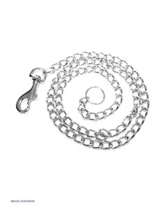 Laisse en chaîne sans poignée Acier