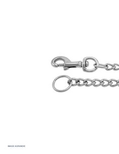 Laisse en chaîne sans poignée Acier 2