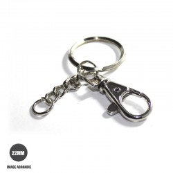 22mm  Anneaux Brisés / porte-clés / Metal / Nickel / Avec Mousqueton
